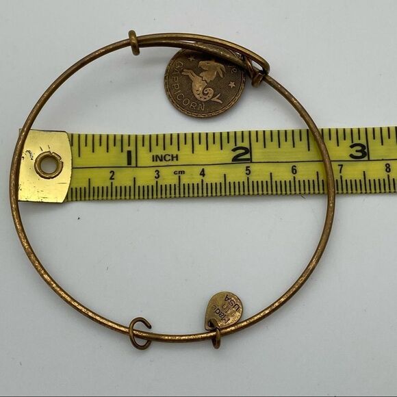 🍭6/$30 Alex & Ani Capricorn Charm Bracelet - Picture 5 of 5